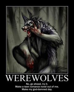 580963_287722241311538_112933255457105_714267_467207359_n